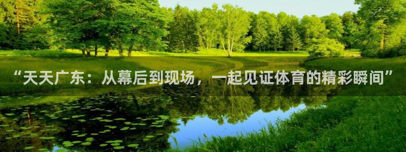 “天天广东：从幕后到现场，一起见证体育的精彩瞬间”