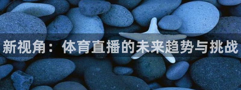 新视角：体育直播的未来趋势与挑战