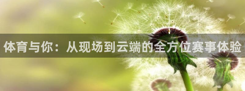 体育与你：从现场到云端的全方位赛事体验