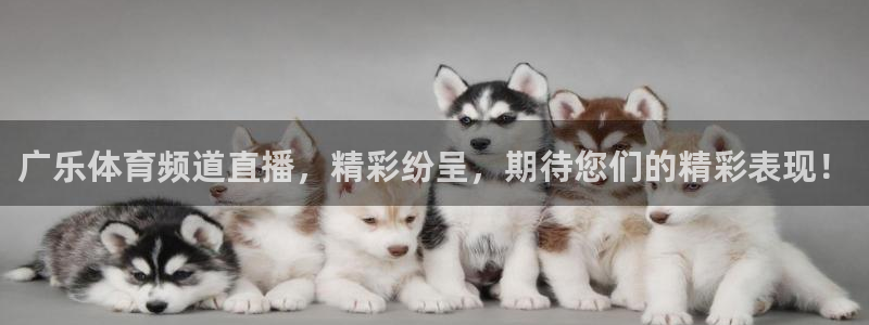 广乐体育频道直播，精彩纷呈，期待您们的精彩表现！