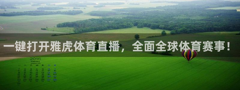 一键打开雅虎体育直播，全面全球体育赛事！