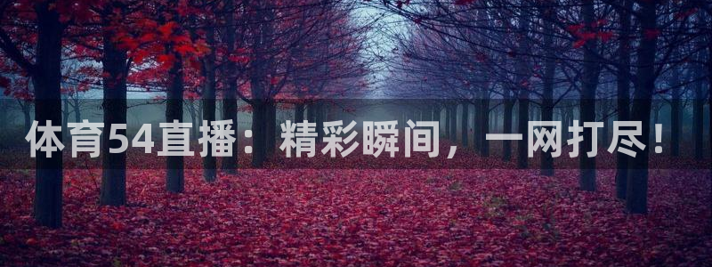 体育54直播：精彩瞬间，一网打尽！