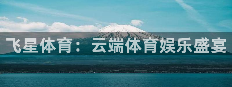 飞星体育：云端体育娱乐盛宴
