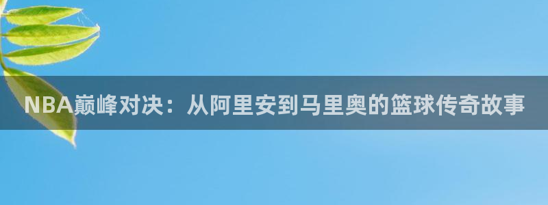 NBA巅峰对决：从阿里安到马里奥的篮球传奇故事